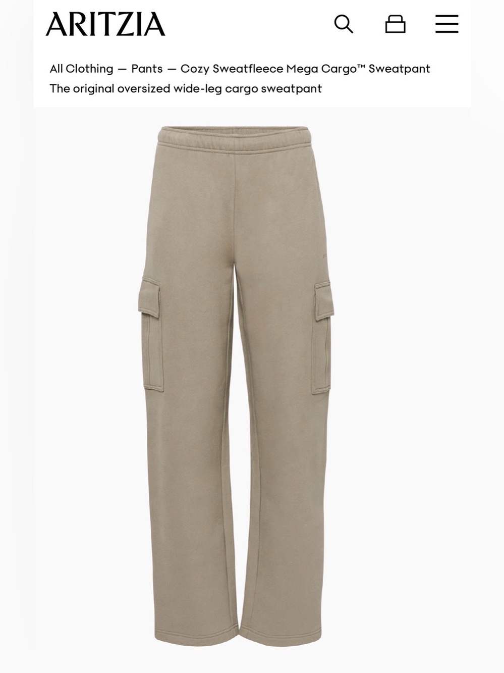 Aritzia Cozy Sweatfleece Mega Cargo Sweatpants